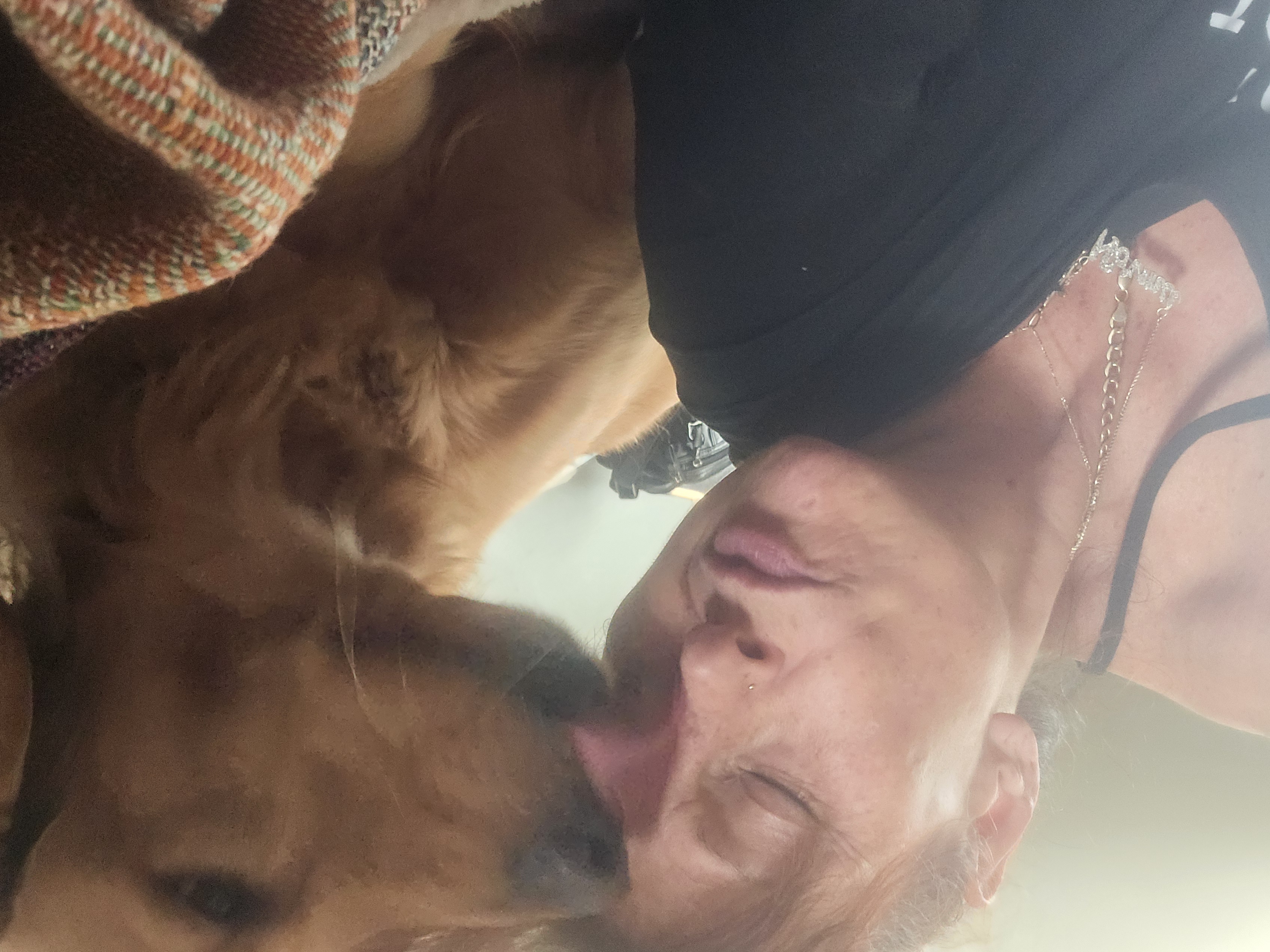 Dog cared for by Gucci Goo