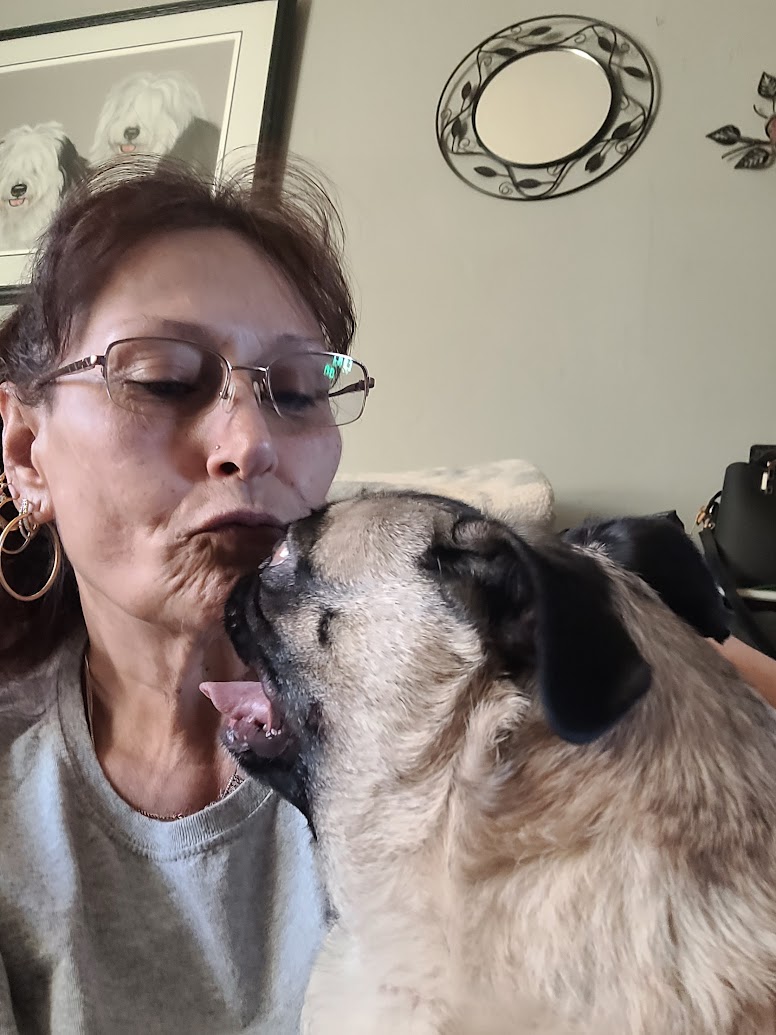 Dog cared for by Gucci Goo